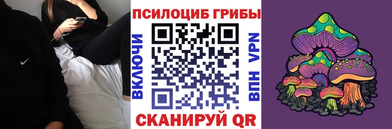 Купить где Иноземцево Галлюциногенные грибы MAGIC MUSHROOMS